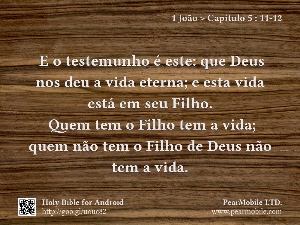 1 João, Capítulo 5:11-12